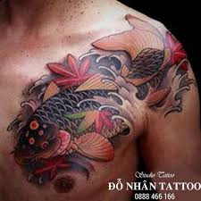 Đây là hình xăm sư tử ở vai trái thể hiện sự dũng mãnh, sự lãnh đạo của người đàn ông. Tá»•ng Há»£p 50 Hinh XÄƒm Ca Chep Ä'áº¹p Nháº¥t Ä'á»— Nhan Tattoo