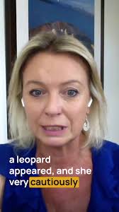 Super-epic start to 2025 for me yesterday, when I got to join @ben10_muller  Ben Muller from Wildscapes Veterinary