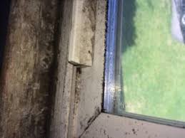 Keeping your windowsills dry is key. Windowsill Condensation Causes Mold And May Impact Your Health Indoordoctor
