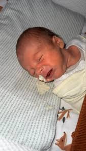 Ruff Around The Edges Grooming