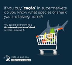 Nakawe Project On Twitter Brazil Is A Huge Shark Meat Exporter And Consumer If You Ask A Brazilian Whether They Eat Shark Meat The Answer Will Probably Be No But If You
