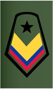 Del ejército nacional de colombia. National Army Of Colombia Military Wiki Fandom