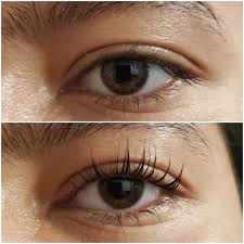 Elleebana lash lift, elleeplex profusion, elleebana brow henna Lash Lift And Tint Restoration Medical Aesthetics