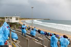 | synonymous with penguins and petrolheads, phillip island attracts a curious mix of holidaymakers and tourists. Phillip Island Tour Penguin Parade Tour Islands And Islets