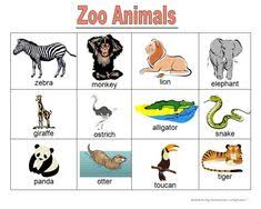 Find over 100+ of the best free zoo images. 23 Zoo Animals Names List Ideas Animals Name List Animals Name In English Animals