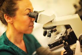 Nicola Porter (@Nic_Appleby)