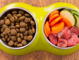 If this is not possible, however, crunchy foods like kibble and biscuits act as a sort of natural toothbrush for the dog, loosening plaque and tartar and cleaning the teeth. 6 Ways To Soften Kibbles To Make Your Dog Love Them