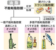 MCTオイル、オメガ３、オメガ９....ダイエット中でも摂るべき油と避けたい油は？／内臓脂肪を落とすルール＜9＞