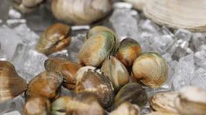 Clams in the solenidae family, of the genera ensis and solen, are razor clams. How To Clean And Prepare Clams Youtube