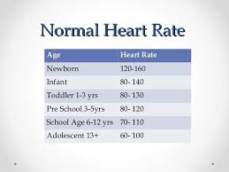 image result for normal heart rate by age normal heart