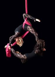 Aerial Silks Duo Pose Aerial Costume Aerial Silks Aerial Acrobatics