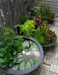 A water feature provides a focal point to your outdoor space. Awesome Pond Pot Container Water Garden Next To A Couple Bog Container Gardens See More Ponds Backyard Container Water Gardens Water Features In The Garden