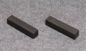 Image result for Diospyros crassiflora