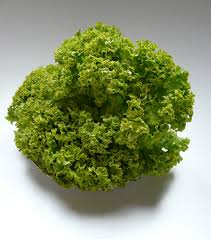 To avoid disappointment, booking is essential, especially on fridays and saturdays. Schnittsalat Wikipedia