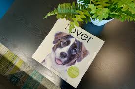 Maybe you would like to learn more about one of these? Pet Sitting Marketplace Rover Grabs A Bone Valued At 1 3 Billion In Latest Spac Deal Geekwire