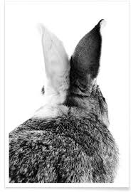 Check spelling or type a new query. Bunny Ears Black White Poster Juniqe