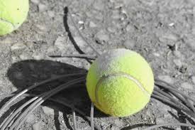 Check spelling or type a new query. Dogs And Tennis Balls Album On Imgur