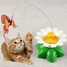 Butterfly Cat Toy The One Toy My Cats Actually Play With Cat Toys Dog Toys Cat Fleas