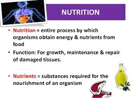 Carbohydrate, protein, fat and water. Nutrition Definition Biology Propranolols