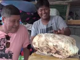 Também conhecido como âmbar gris ou âmbar de baleia, a massa descoberta por niamrin é um tipo de vômito de baleia, com valor de mercado estimado em 186.500 libras, equivalente a cerca de r$ 1,46 milhão de reais. Pescador Encontra Vomito De Baleia Avaliado Em Ate R 1 2 Milhao