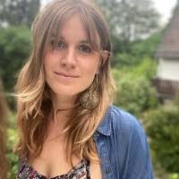 300+ "Steger" profiles