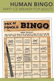 Pin On Adult Birthday Party Ideas Games