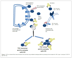 Image result for Infliximab