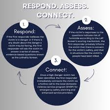 Image result for SAFE Screen for Intimate Partner Violence