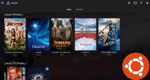 I was hoping that i wouldn't have to compile the driver, but your experience How To Install Jellyfin Media Server On Ubuntu 20 04 Lts Server Desktop Linuxhowto Net