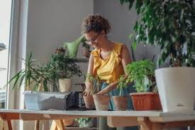 Free plants and flowers near me. 24 Ways To Get Free Plants For Your Garden Near You Or Online Moneypantry