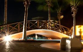 Led Are Great For Effect Lighting Low Cost Low Energy High Effect Visit Us At Http Saltolighting Outdoor Garden Lighting Outdoor Garden Garden Lighting