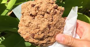 We did not find results for: Best Fish Tacos Ever Review Of Jack S Shack Rincon Puerto Rico Tripadvisor