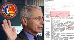 Chilling! FRAGMENTS OF HIV-AIDS VIRUS INSIDE COVID VACCINES. Shocking  Discovery in Moderna built Fauci-Gates mRNA Serums