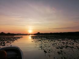 Chiar imi doresc sa merg acolo,nu am mai fost in delta din copilarie si imi place si la pescuit chiar daca nu ma prea pricep.dana arati superb. Https Xn Urlaub In Rumnien 2qb De Ro Uir De Vizitat Locatii De Vizitat Delta Dunarii