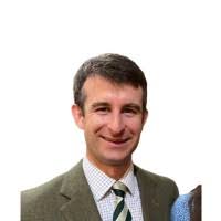 Alexander Hammick Email & Phone Number