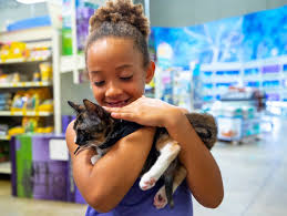 Most large pet stores (petco, petsmart) now work with local rescues as satellite adoption centers. Find A Pet Adoption Center Near You Petsmart Charities