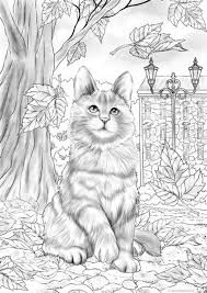 Shirley here has littered four kittens out of which two are always wandering around and two stuck to her. Pin On Coloring