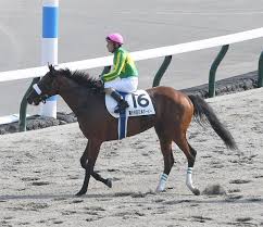 【感染状況】３週間ぶりの１ケタ 香川県で９人感染 全員が感染者の濃厚接触者や接触 登録抹消の日本ハム・中田翔 このまま終わってしまうのか〈dot.〉 Esexxgqw1hv3lm