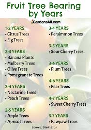 Dwarf Fruit Trees For Your Backyard Orchard In 2020 Fruit Tree Garden Dwarf Fruit Trees Fruit Trees Backyard
