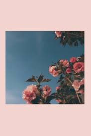 1000 Aesthetic Wallpaper Background Hd Aesthetic Wallpapers Iphone Wallpaper Photography Wallpaper Backgrounds Best pink wallpaper, desktop background for any computer, laptop, tablet and phone. 1000 aesthetic wallpaper background hd