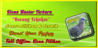 Sekadar memenuhi masa lapang (hobi ) memikat burung terkukur. Tekukur Gacor Mp3 Com Althaflabbs Suara Burung Derkuku Tekukur Pikat Mp3 1 0 5 Application Apkspc