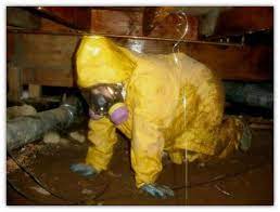 Tips For Outdoor Sewage Spill Clean-Up - King County
