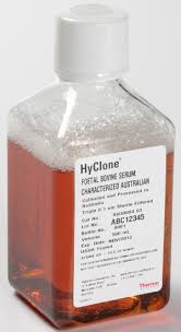 Maybe you would like to learn more about one of these? Fetal Bovine Serum