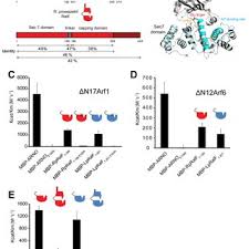 Jul 03, 2021 · onze poursuites ont été déposées à la cour du banc de la reine de moncton le 30 juin. Legionella And Rickettsia Ralf Proteins Are Autoinhibited By Their Download Scientific Diagram
