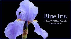 Funeral Flowers And Their Meanings The Ultimate Guide Funeral Flowers Diy Funeral Flowers Funeral Flower Arrangements