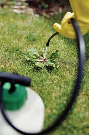 How to repair a broken sprinkler head 5 steps. Lawn Care Basics For Beginners Better Homes Gardens