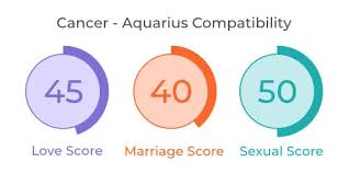 When cancer and aquarius make a love match, it can be a case of opposites attracting. Cancer And Aquarius Compatibility Love Marriage Sex Mypandit