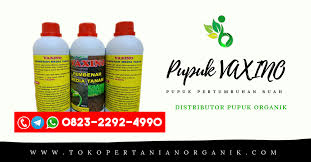 Alami O823 2292 499o Harga Pupuk Untuk Cabe Rawit Agar Berbuah Lebat Jual Pupuk Untuk Cabe Distributor Pupuk Untuk Cabe By Pestisida Organik Cair Hama Wereng Cabe Medium