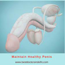 According to the truth initiative , smoking may you can learn more about how we ensure our content is accurate and current by reading our editorial policy. How To Maintain Healthy Penis By Dr Vinod Raina Linkedin