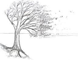Maybe you would like to learn more about one of these? How To Draw A Tree Happy Family Art